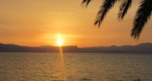 Untitled design (13).png