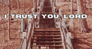 Untitled design (6).png