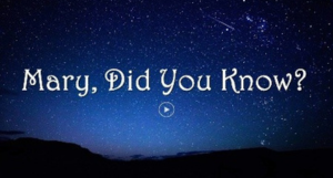 Untitled design (17).png