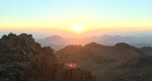 Untitled design (16).png